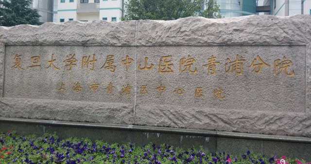 岳西县有喜国际助孕_岳西县助孕机构哪家好_上海中山医院试管婴儿怎么样？